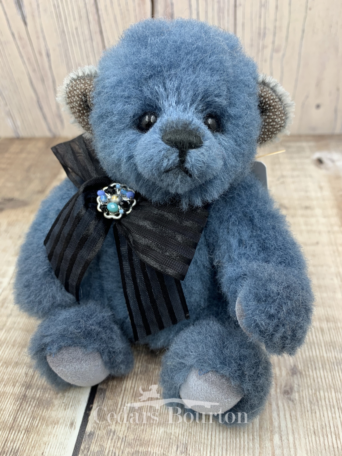 Charlie bears-bleu-minimo-MM655518 